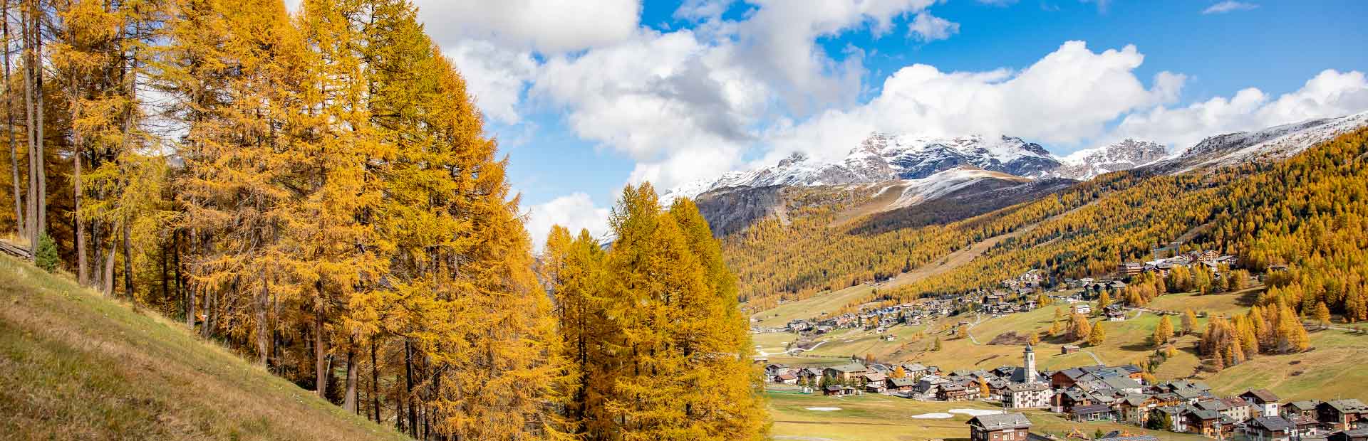 immagine--autunno-1920x620